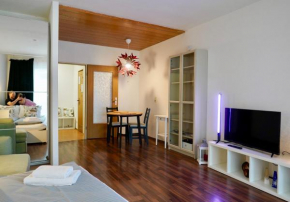 Energetic Mountain Apartment